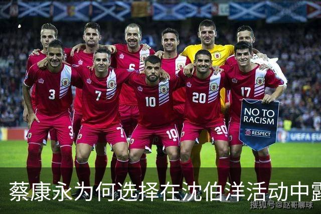 蔡康永为何选择在沈伯洋活动中露面